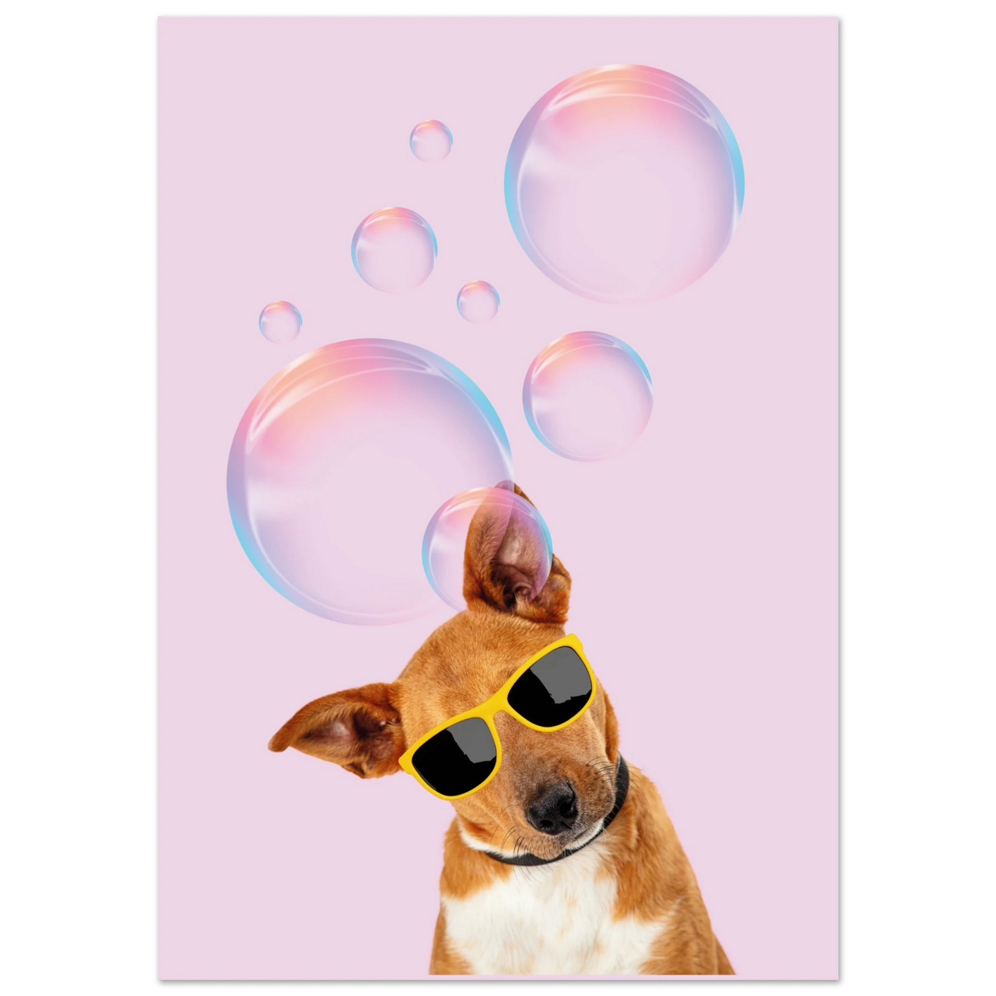 13d1fd66-104b-482a-b2b6-e9c45d493c46